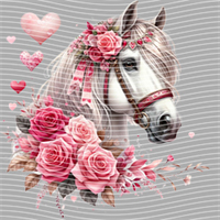 Valentine's Day-QRJ  5873